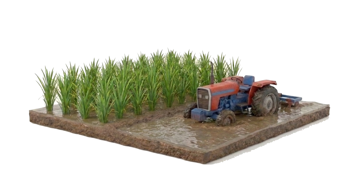 Agricultural land